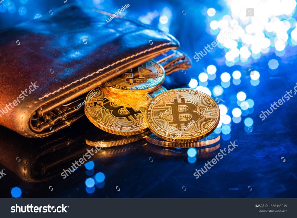 Exploring the Different Types of Bitcoin Wallets and Their Features